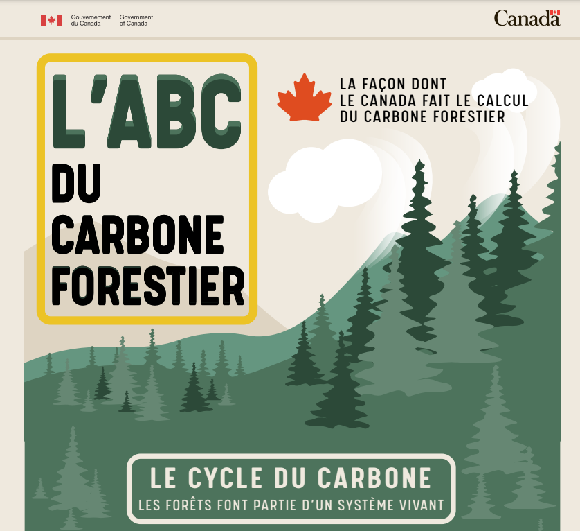 FR ABCs of forest carbon